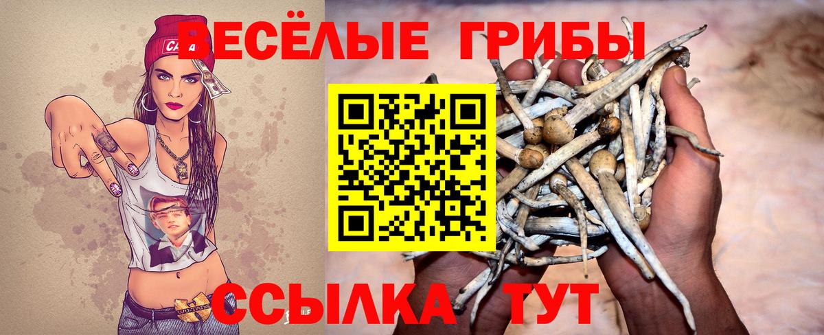 Ржев  Галлюциногенные грибы мухоморы  Вход с VPN 