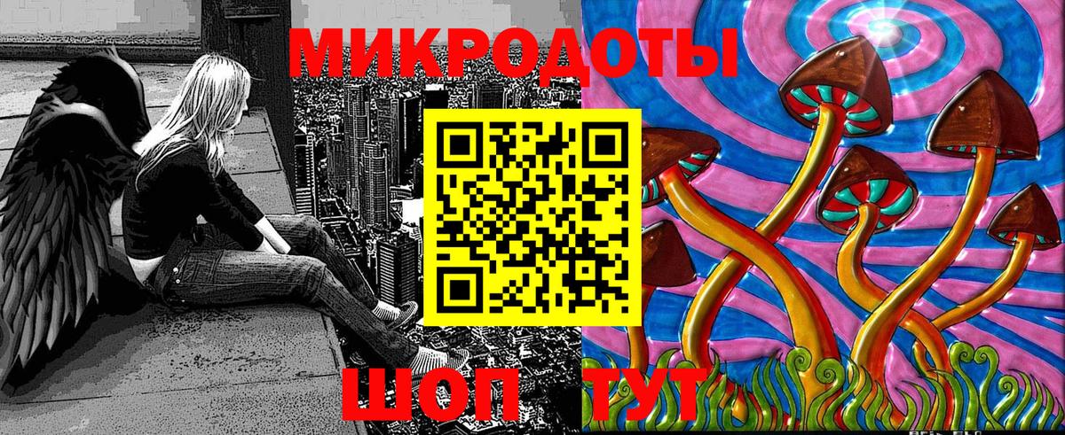 Псилоцибиновые грибы Psilocybine cubensis Ржев